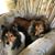 Cathy Rogers's profile image