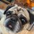 Jennifer Obringer Schultz's profile image
