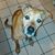Jennifer Steiner's profile image