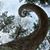Denae Maxon's profile image