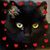 Linda Jones's profile image