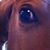 Renee Brown Graves's profile image