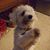 Colleen Simonds Provencial's profile image