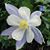 Joyce Davis's profile image
