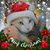 Tickie Young's profile image