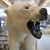 Scott Manypenny's profile image