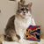 Andrea Cohen's profile image