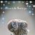 Debra Anderson Acers's profile image