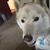Dawn Elam's profile image