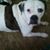 Amanda Garrity's profile image