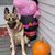 Cyndy Reed Oakley's profile image