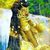 Yolanda Melvins's profile image