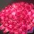 Shaima Nahas's profile image