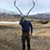 David Burden's profile image