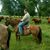 Richard Himburg's profile image