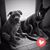 Tabitha White's profile image