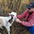 JD Jernigan's profile image
