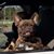 Shannon Krohn's profile image