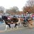 Edith Shrum's profile image
