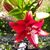 Linda LaBarre Hosley's profile image