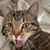Patti Bond's profile image