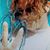 Lori Allen McDade's profile image