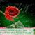 Ayesha Hanif's profile image