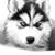 Wanda Cross Azevedo's profile image
