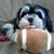 Donna DeMilio's profile image