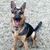 Darcy Drobnich's profile image