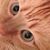 Lynne Warmuth Watson's profile image