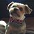 Jen Blais Epperley's profile image