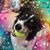 Kimberly Samuelson's profile image