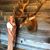 Kristie Groves Bryan's profile image