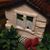 Cay Collins's profile image