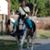 Margo Nielsen's profile image