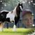 Tina Whalen's profile image
