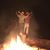 Austin Day's profile image