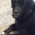 Janie Bennett's profile image