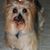 Steve Ihrig's profile image