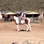 Linda Johnson's profile image