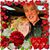 Shelly D. Dietrich's profile image
