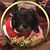 Angela Hebeler-Bradshaw's profile image