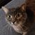 Mary H. Crockett's profile image