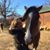 Trudi Alexander's profile image