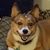 CarolAnn Avery Kaye's profile image