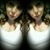 Raney Narayan's profile image