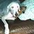 Susan Hess-taylor's profile image