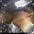 Melanie Verwers's profile image