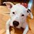 Tammy Crenshaw's profile image